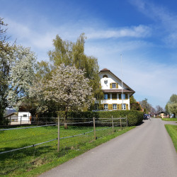Elternhaus von P. Andreas